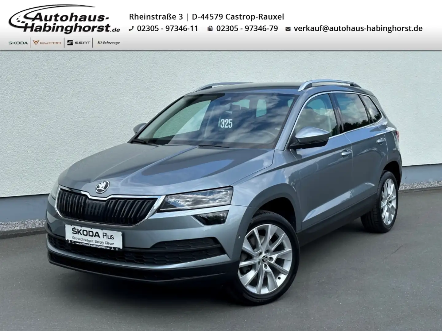 Skoda Karoq 1.5 TSI DSG ACT Ambition LED PDC Klima Shz AHK 18L Gris - 1