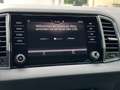 Skoda Karoq 1.5 TSI DSG ACT Ambition LED PDC Klima Shz AHK 18L Gris - thumbnail 13