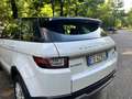 Land Rover Range Rover Evoque 5p 2.0 ed4 SE Business edition 150cv my19 - thumbnail 15