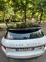 Land Rover Range Rover Evoque 5p 2.0 ed4 SE Business edition 150cv my19 - thumbnail 4