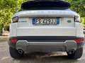 Land Rover Range Rover Evoque 5p 2.0 ed4 SE Business edition 150cv my19 - thumbnail 14