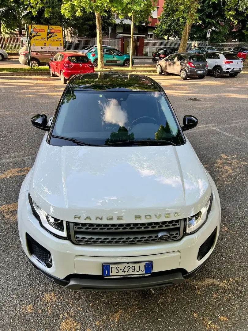 Land Rover Range Rover Evoque 5p 2.0 ed4 SE Business edition 150cv my19 - 2