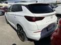 Opel Grandland 1.2 Turbo 12V 130 CV aut. Business Elegance Bianco - thumbnail 5