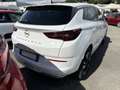 Opel Grandland 1.2 Turbo 12V 130 CV aut. Business Elegance Bianco - thumbnail 6