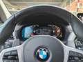 BMW X3 xDrive20d xLine Blanco - thumbnail 34