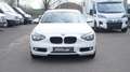 BMW 116 1-serie 116i Business Navi PDC Lichtpakket Cruisec Blanc - thumbnail 2