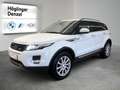 Land Rover Range Rover Evoque Prestige 2, Weiß - thumbnail 2