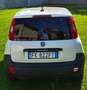 Fiat Panda Panda 1.3 mjt 16v pop Blanc - thumbnail 4