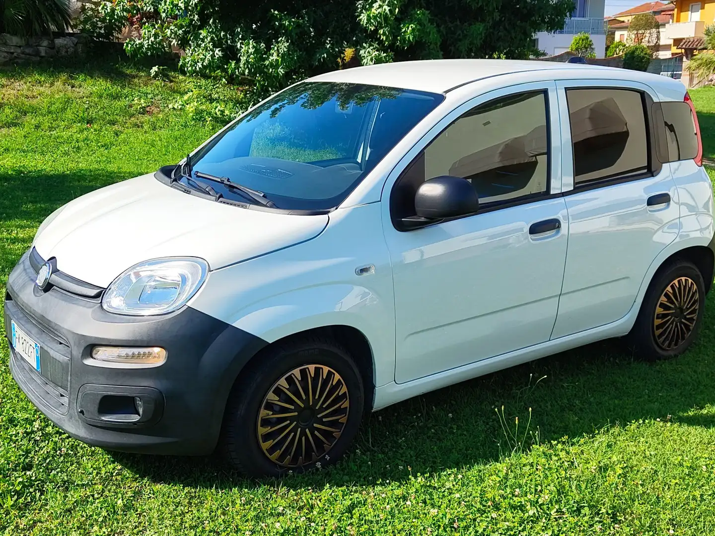 Fiat Panda Panda 1.3 mjt 16v pop Blanc - 1