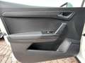 SEAT Arona 1.0 tgi Reference 90cv, Carplay, Neopatentati Bianco - thumbnail 13