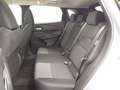 Nissan Qashqai 90th Anniversario e-POWER 190CV X-TRONIC PROMO! Grigio - thumbnail 13