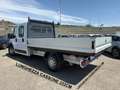 Fiat Ducato 35 2.3 MJT 140CV PL XL Cassone Doppia Cabina 7 Pos Weiß - thumbnail 3