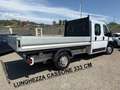 Fiat Ducato 35 2.3 MJT 140CV PL XL Cassone Doppia Cabina 7 Pos Weiß - thumbnail 4