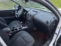 Nissan Qashqai+2 Qashqai 2 1,6 dCi Acenta Start/Stop DPF Acenta Weiß - thumbnail 6