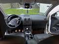 Nissan Qashqai+2 Qashqai 2 1,6 dCi Acenta Start/Stop DPF Acenta Weiß - thumbnail 12