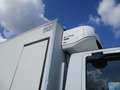 Iveco STRALIS 360 E6 CELLA FRIGO 9.60M+PEDANA FRC 03/26 Bianco - thumbnail 4