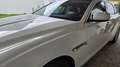 Jaguar XF XF Diesel 20d Aut. Pure Weiß - thumbnail 3