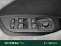 Skoda Kodiaq 2.0 tdi evo selection 4x4 193cv dsg Blu/Azzurro - thumbnail 12
