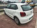 Volkswagen Polo Polo 1.2 TDI DPF 5 p. BlueMotion Weiß - thumbnail 3