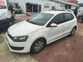 Volkswagen Polo Polo 1.2 TDI DPF 5 p. BlueMotion Weiß - thumbnail 5