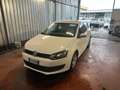 Volkswagen Polo Polo 1.2 TDI DPF 5 p. BlueMotion Bianco - thumbnail 1