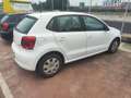 Volkswagen Polo Polo 1.2 TDI DPF 5 p. BlueMotion Weiß - thumbnail 4