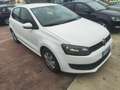 Volkswagen Polo Polo 1.2 TDI DPF 5 p. BlueMotion Weiß - thumbnail 1