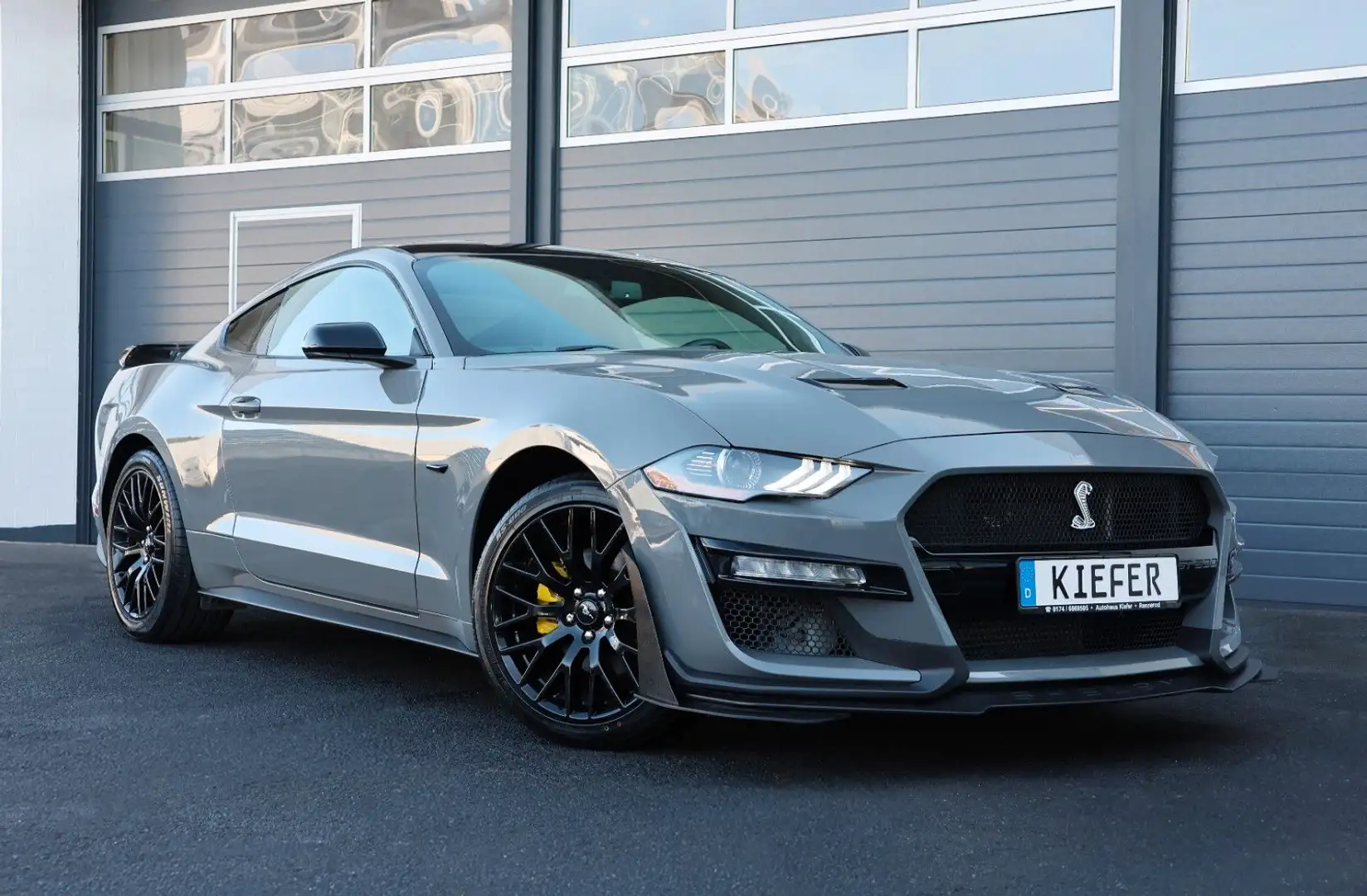 Ford Mustang 2.3 GT500/LED/SHZ/CarPlay/KAMERA/R19 Grau - 1