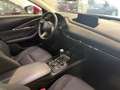 Mazda CX-30 Centre-Line 2.5L e-SKYACTIV G MHEV 103kW Centre-Li Rojo - thumbnail 9