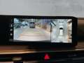 Kia Sorento PE PLATINUM 4WD 2.2 CRDi *ANHÄNGERKUPPLUNG*7-SITZE Zwart - thumbnail 19