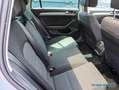 Volkswagen Passat Variant Business 2.0 TDI DSG Pano RüKa Grau - thumbnail 6