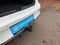 Volkswagen Golf Style eTSI DSG AHK Navi ACC HuD Matrix Kam Weiß - thumbnail 16