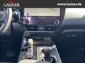 Lexus NX 350h h 243 PS *  Sitzklima Connect - Paket 360° Zielony - thumbnail 13