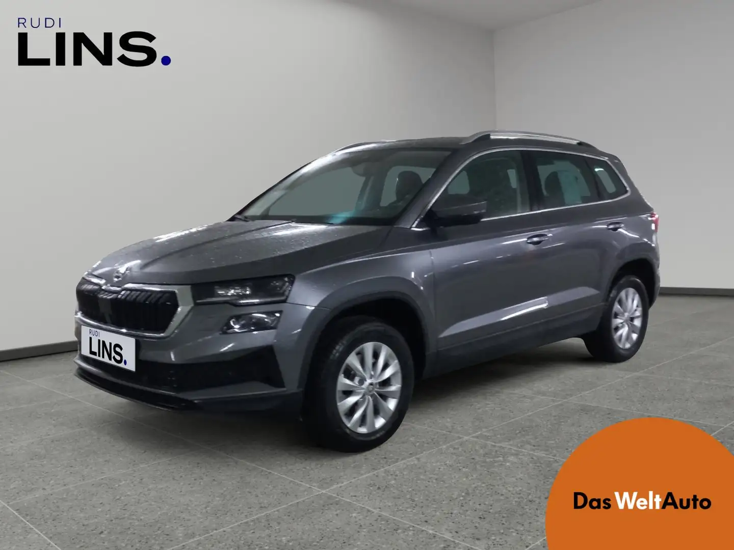 Skoda Karoq 4x4 Selection TDI DSG Grau - 1