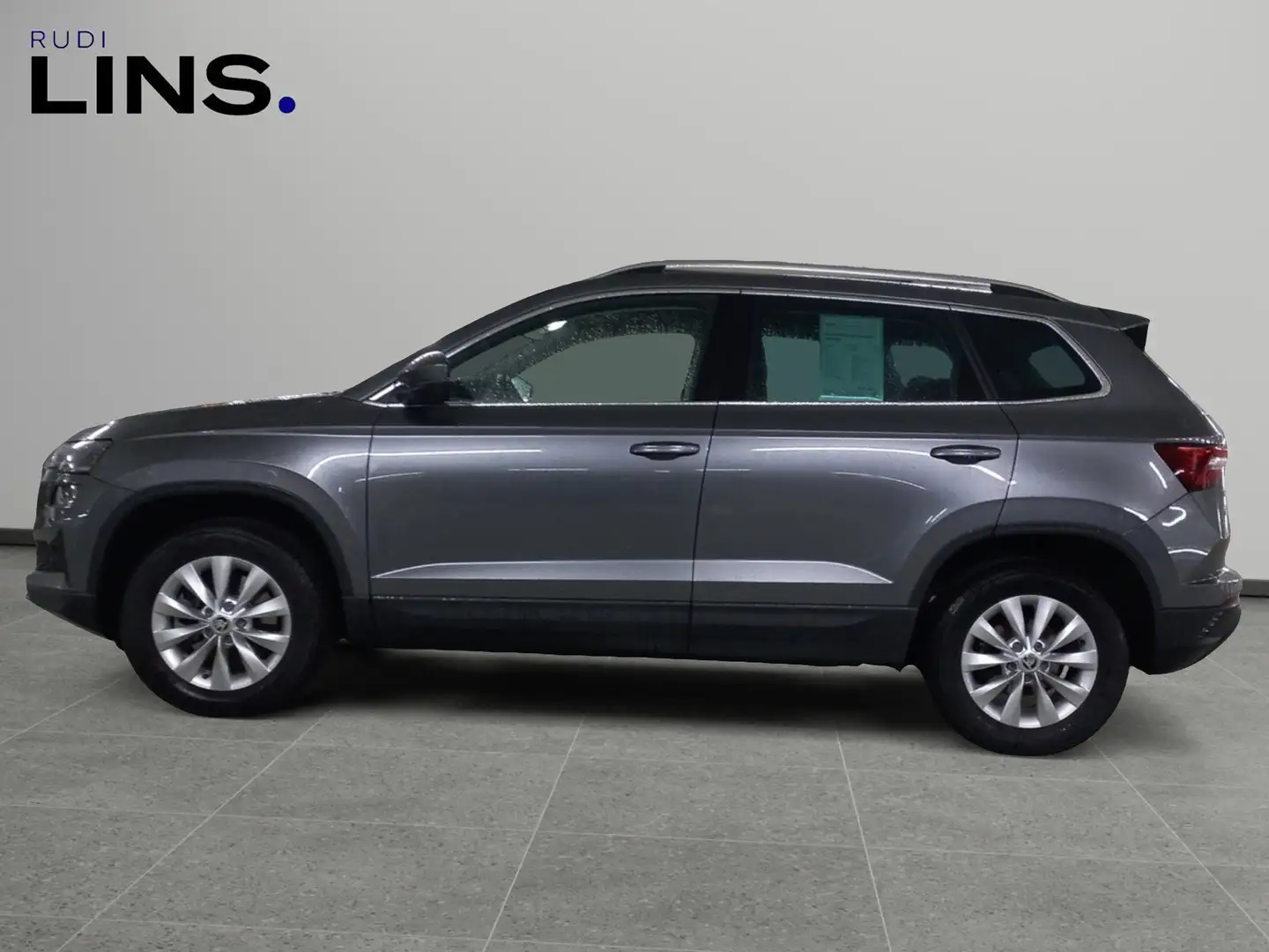 Skoda Karoq 4x4 Selection TDI DSG Grau - 2