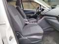 Ford C-Max C-MAX 1.6 TDCI+TÜV/NEU+KLIMAAUTOMATIK+TEMPOMAT Weiß - thumbnail 14
