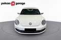 Volkswagen New Beetle 1.9 tdi 105cv - thumbnail 3
