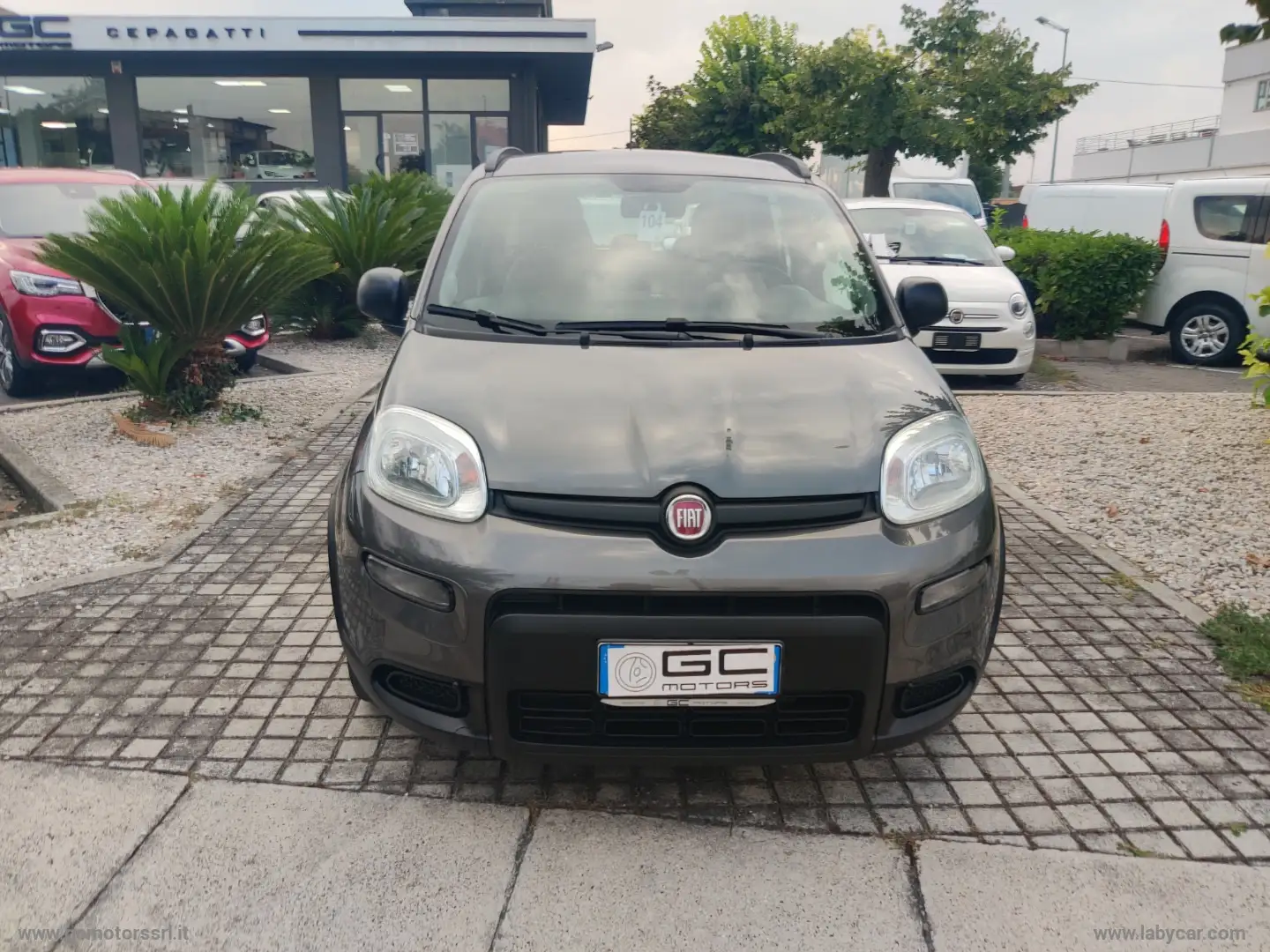 Fiat Panda 1.0 FireFly S&S Hybrid City Life Grigio - 2