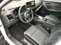 Nissan X-Trail 1.5 e-Power Acenta VC-T 4x2 LED-Scheinwerfer Navi Wit - thumbnail 12