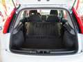 Fiat Grande Punto 1.4 GPL 5 porte Actual Alb - thumbnail 11