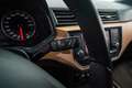 SEAT Ibiza 1.0 TSI S&S Xcellence 115 Brun - thumbnail 21