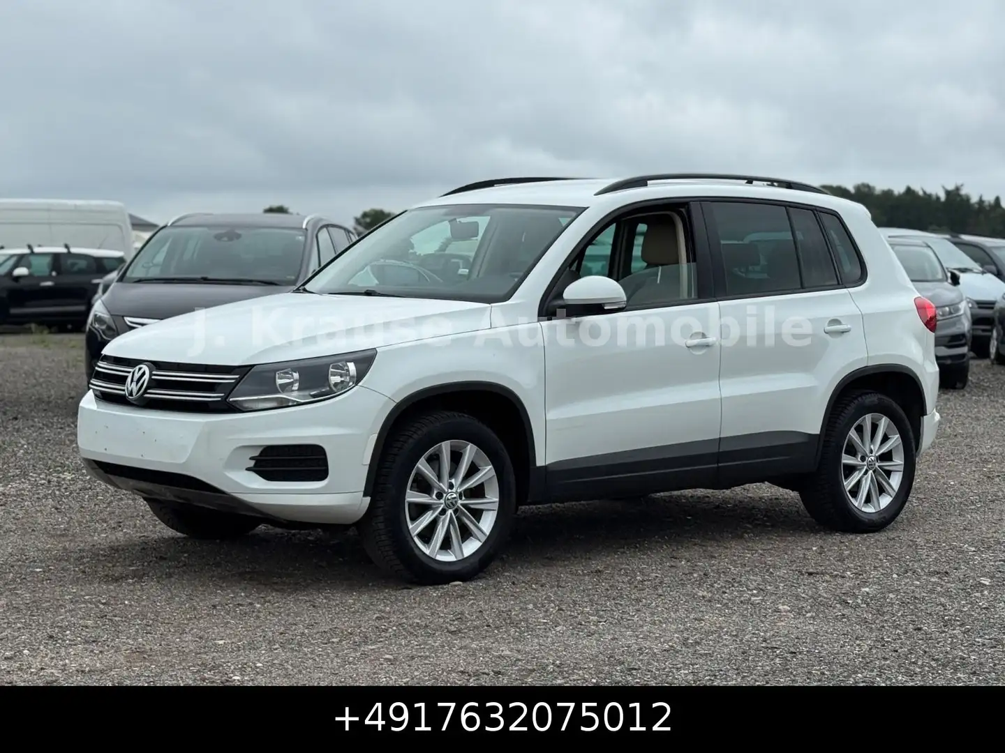 Volkswagen Tiguan 2.0 TSI DSG 4MOTION Track&Field Shz Leder Weiß - 2