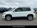 Volkswagen Tiguan 2.0 TSI DSG 4MOTION Track&Field Shz Leder Weiß - thumbnail 13