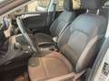 Ford Focus SW 1.5 ecoblue Business s Argento - thumbnail 11