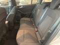 Ford Focus SW 1.5 ecoblue Business s Argento - thumbnail 8