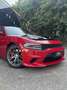 Dodge Charger SRT 392 6,4 V8 / Ab 471 Euro im Monat Rot - thumbnail 3