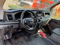 Ford Transit Kasten H2 L2 Trend Hoch 2.0 EcoBlue Gelb - thumbnail 7
