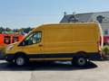 Ford Transit Kasten H2 L2 Trend Hoch 2.0 EcoBlue Gelb - thumbnail 3