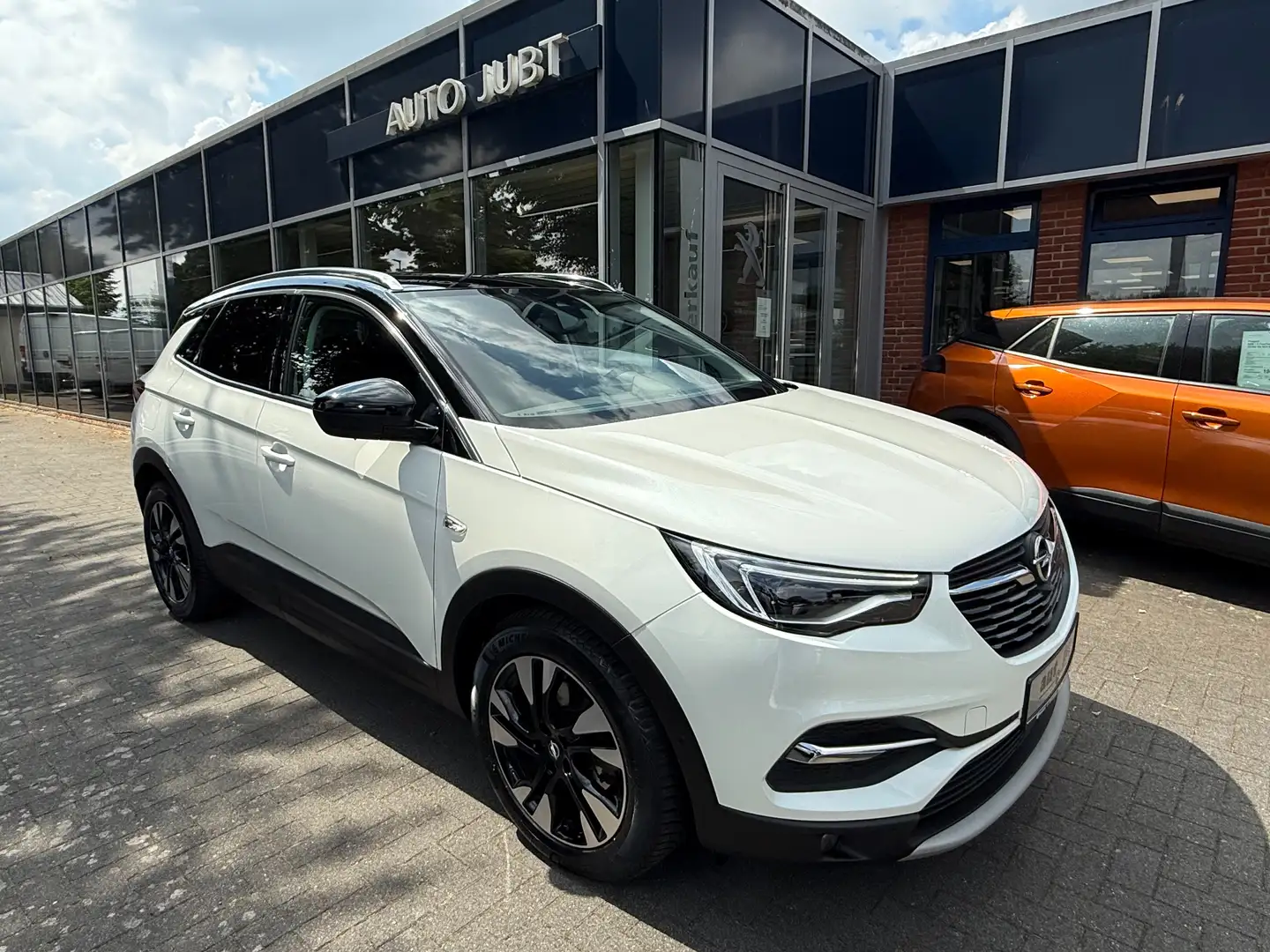 Opel Grandland X 2.0D Ultimate Blanco - 2