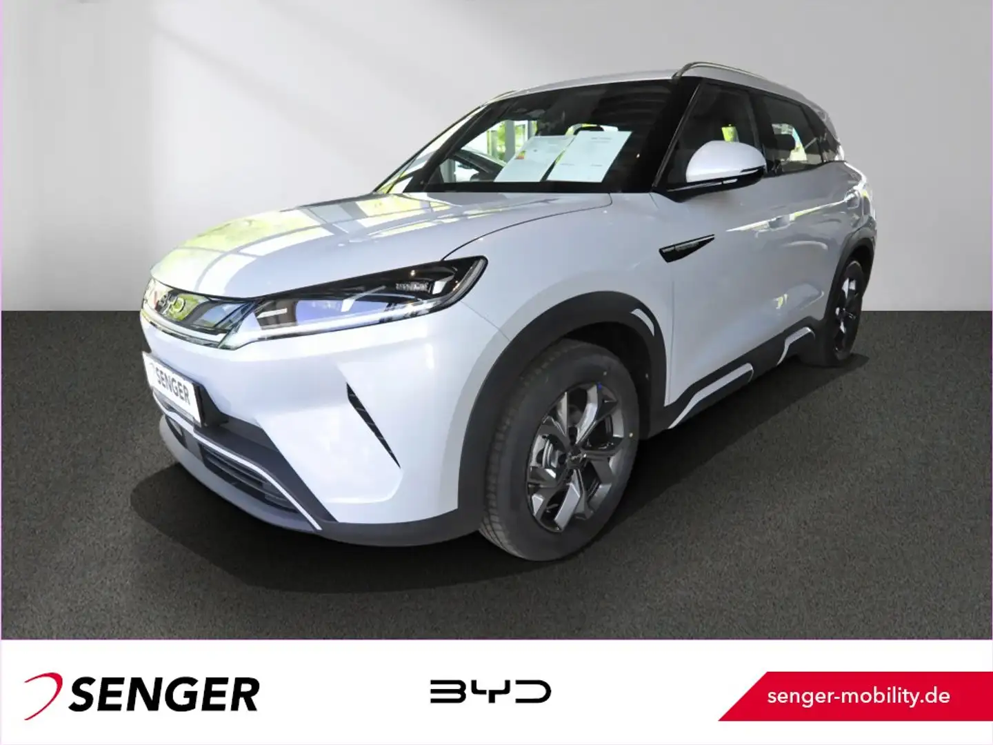 BYD BYD ATTO 2 Active Blanc - 1